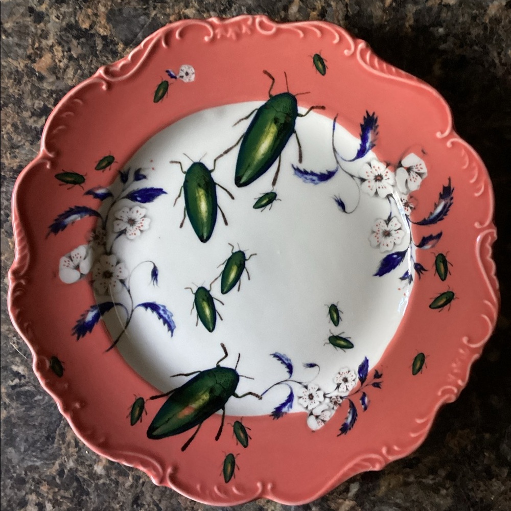 Lou Rota Nature’s Table Anthropologie Beetles Plate